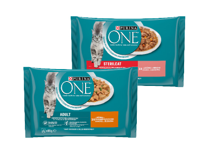 Kiisueine Purina One