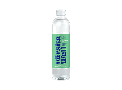 Vitamiinijook Värska Well