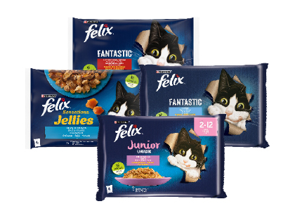 Kiisueine Felix
