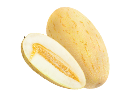 Kesk-Aasia melon